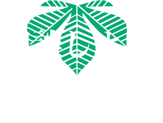 相談しよう。葬しよう。